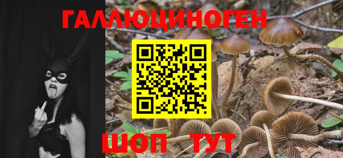 Галлюциногенные грибы мухоморы  купить закладку  Сафоново  Вход с VPN  Галлюциногенные грибы MAGIC MUSHROOMS 
